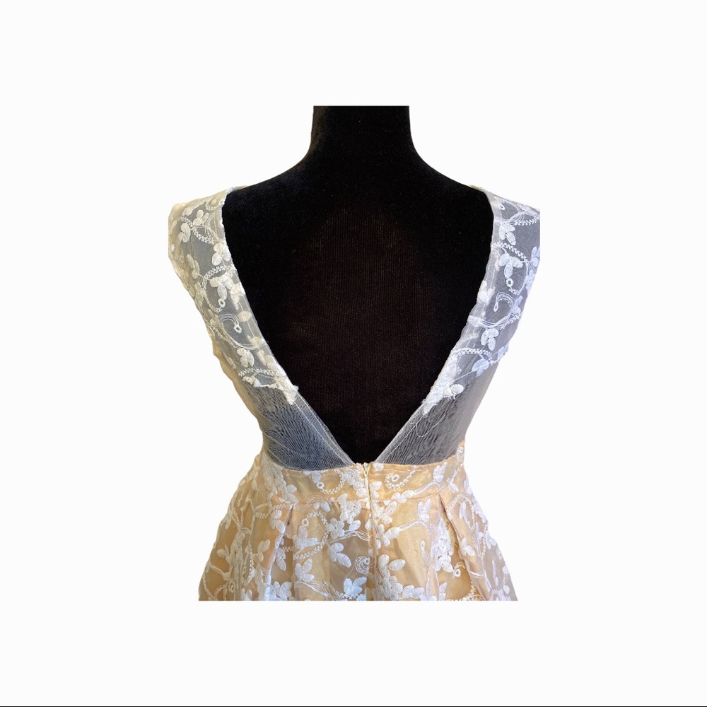 Spring Dress - Picture 6 of 7